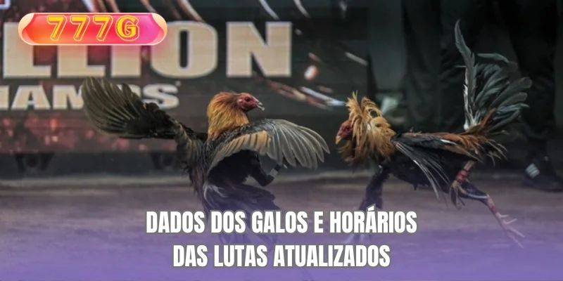 Dados dos galos e horários das lutas atualizados