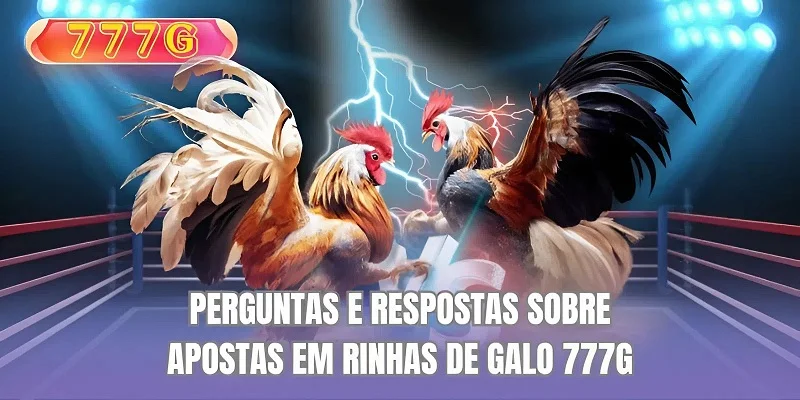 Perguntas e respostas sobre apostas em rinhas de galo 777G